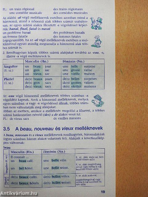 Pons Francia nyelvtan röviden és érthetően