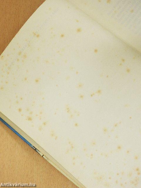 Kincskereső kisködmön