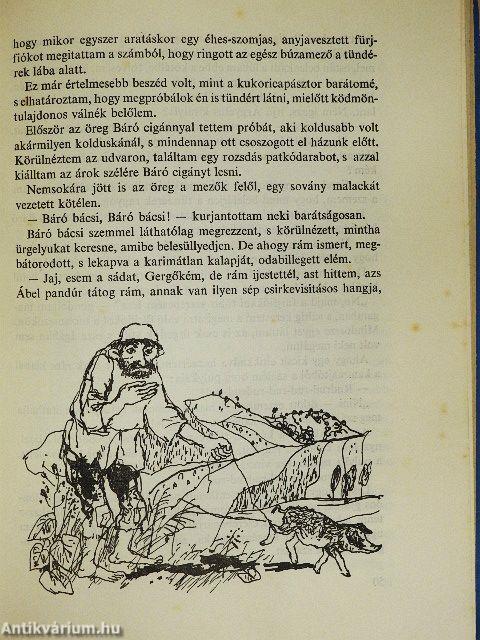 Kincskereső kisködmön