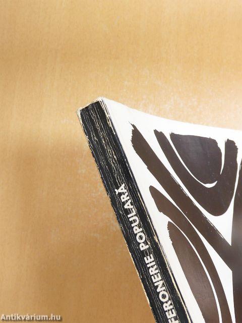 Mobilier si feronerie populara