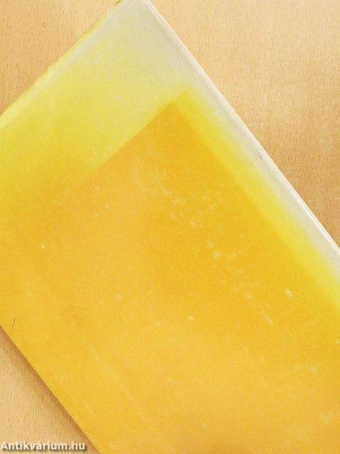 Gyermekkorom és ifjúságom emlékeiből/Albert Schweitzer, a diakónus