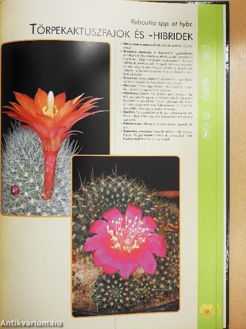 Szobanövények gondozása, szaporítása