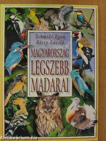 Magyarország legszebb madarai