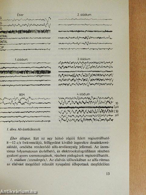 A biológia aktuális problémái 12.