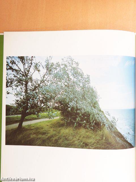 Landschaften in Schleswig-Holstein