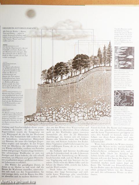 Die Wälder der Welt