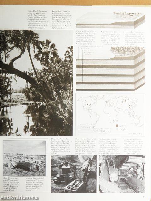 Die Wälder der Welt