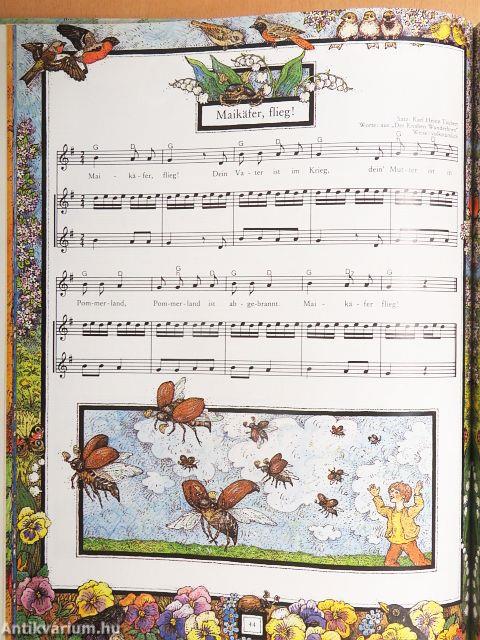 Das grosse Buch der Kinderlieder