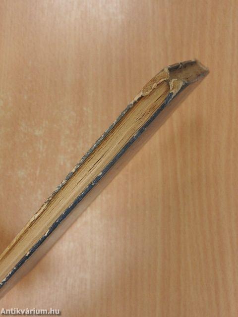 Kincskereső kisködmön