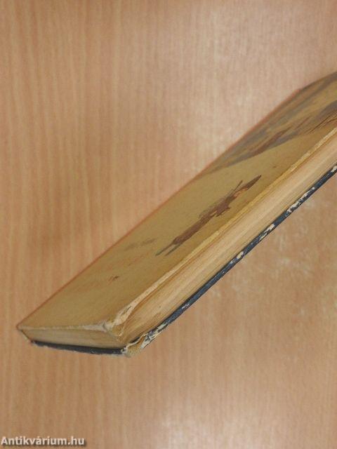 Kincskereső kisködmön