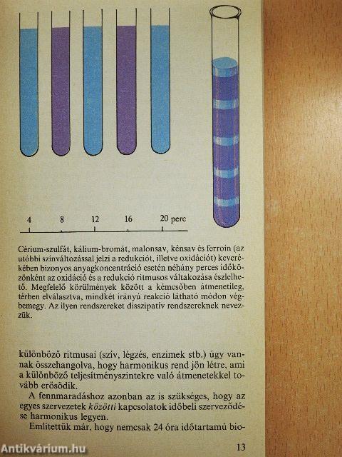 A biológiai óra