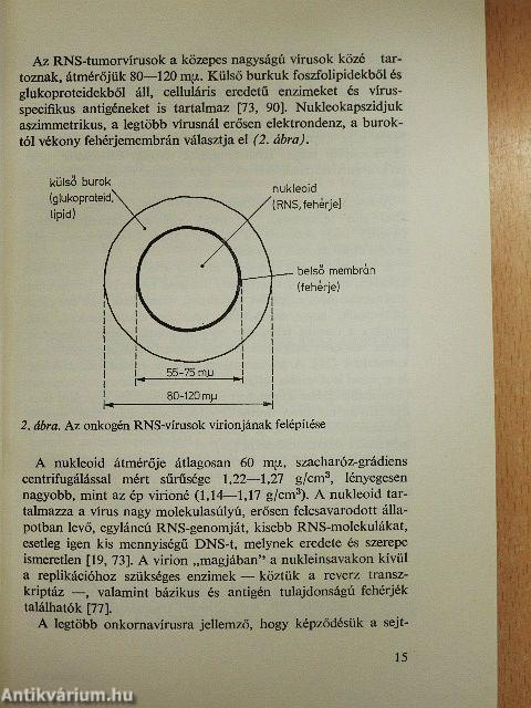 A biológia aktuális problémái 11.