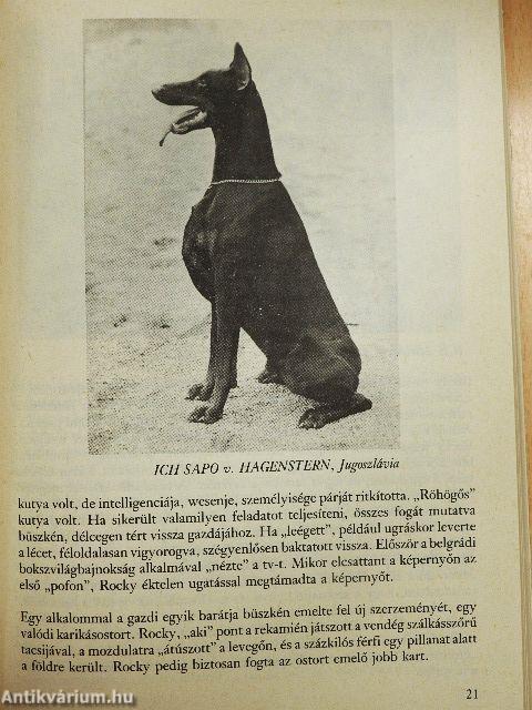 Barátunk a dobermann