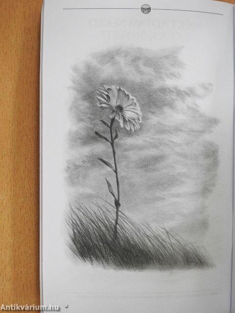 Az út a boldogsághoz