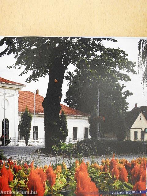 Dunaharaszti 15 éve város - DVD-vel