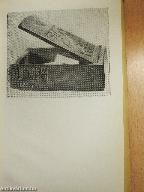 A legszebb élet, amit magamnak el tudtam képzelni