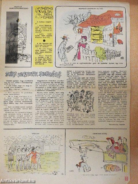 Ludas Matyi 1981. november 26.