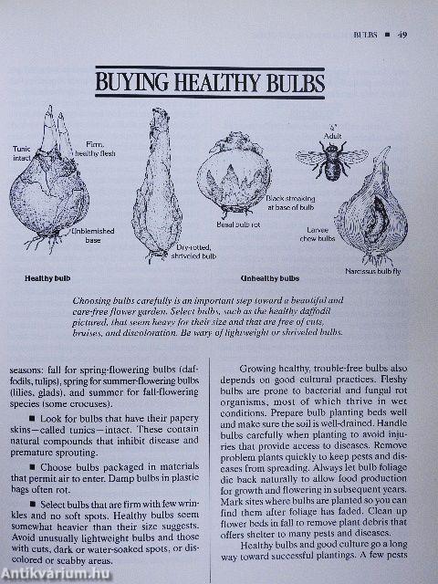 The Organic Gardener's Handbook of Natural Insect and Disease Control