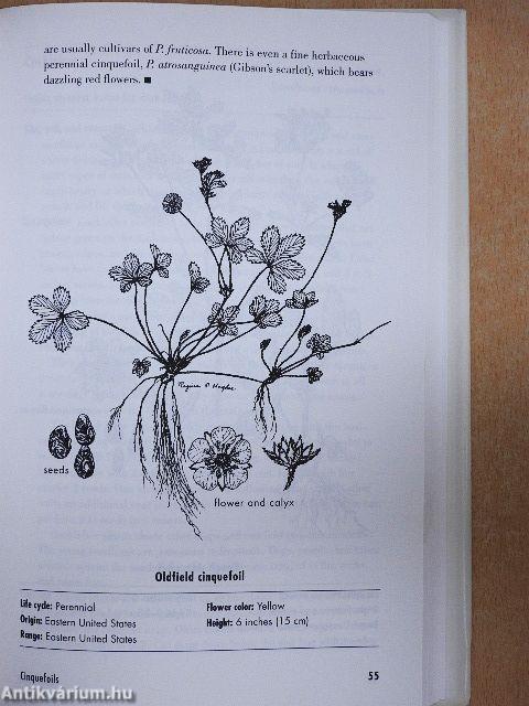 The Gardener's Weed Book