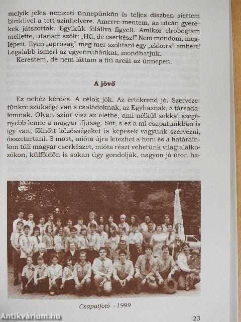 Tíz cserkészesztendő