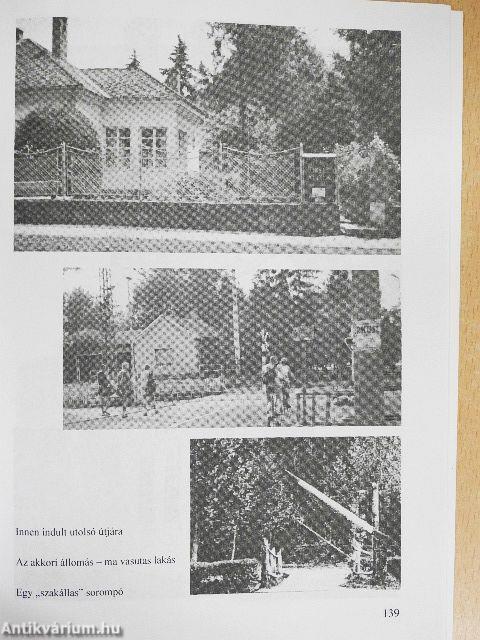 Hogyan történt József Attila halála?