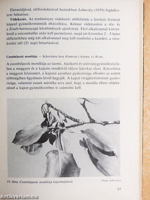 Üzemi gyümölcsösök növényvédelme