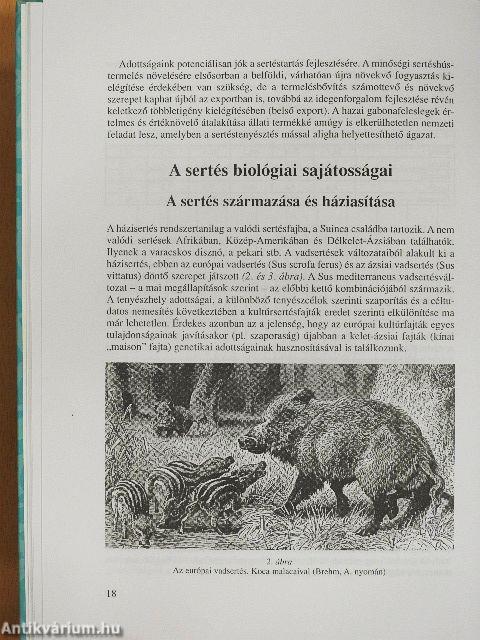 Sertés, nyúl, prémes állatok, hal