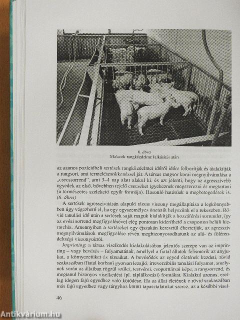 Sertés, nyúl, prémes állatok, hal