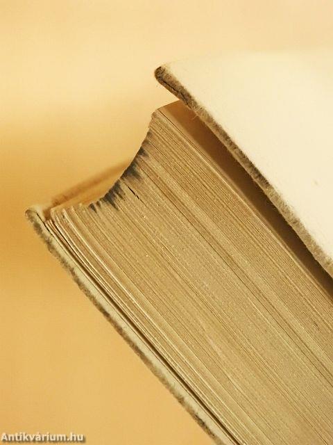 Gedichte/Poeme/Eugen Onegin