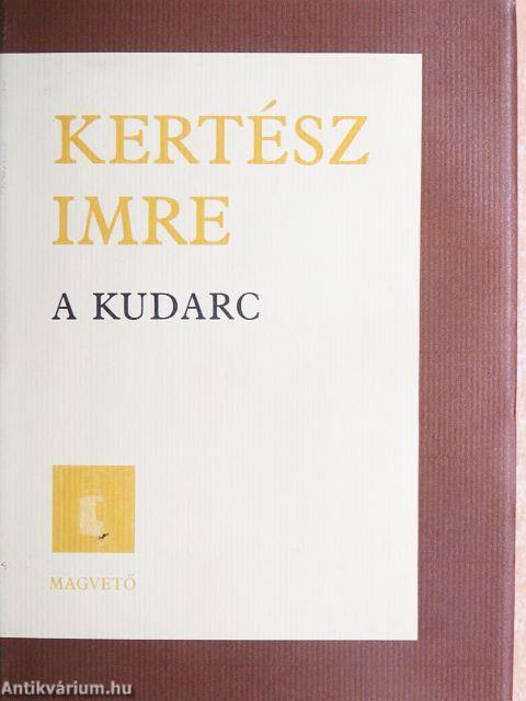 A kudarc