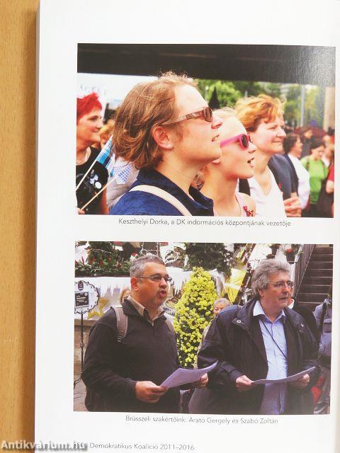 Demokratikus koalíció 2011-2016 - Ötévkönyv