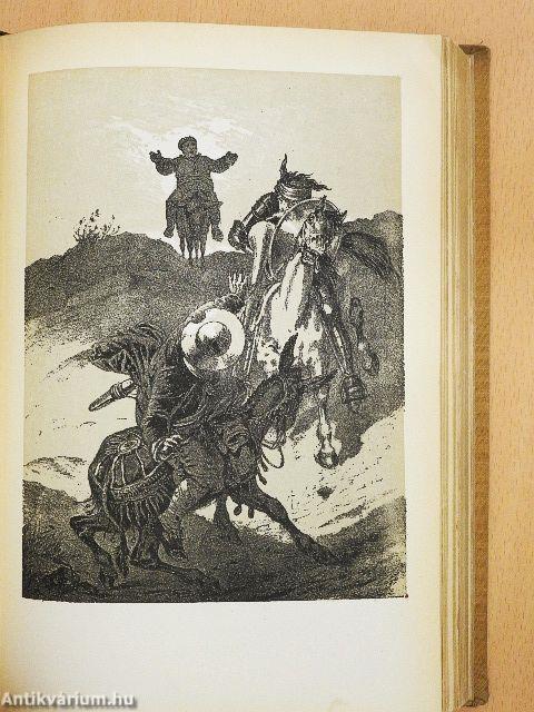 Don Quijote de la Mancha