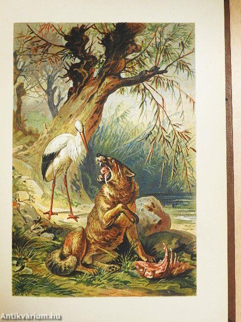 Der Jugend Fabelschatz (gótbetűs)