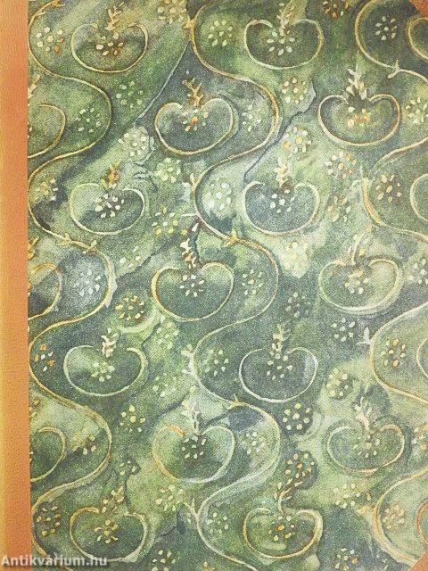 Das Urwaldschiff (gótbetűs)