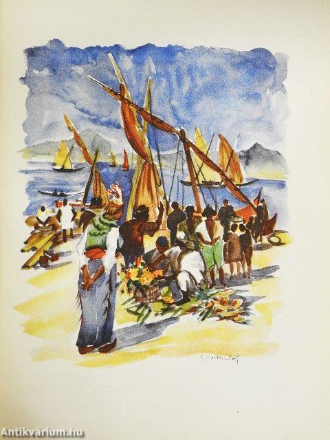 Das Urwaldschiff (gótbetűs)