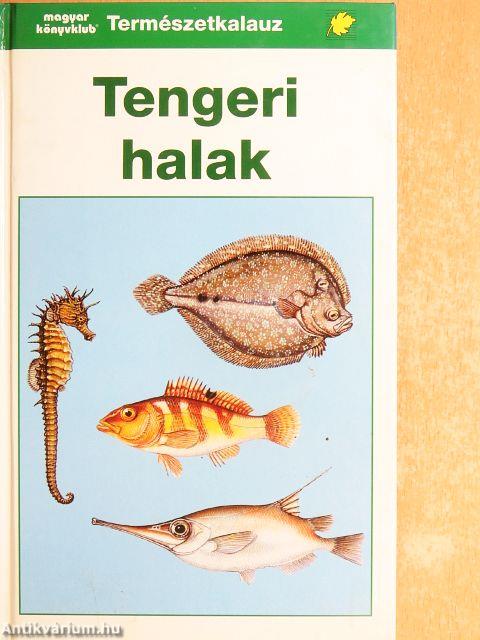 Tengeri halak