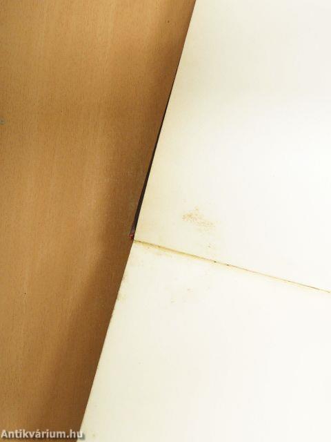 Vatikáni Magyar Okirattár I/I.