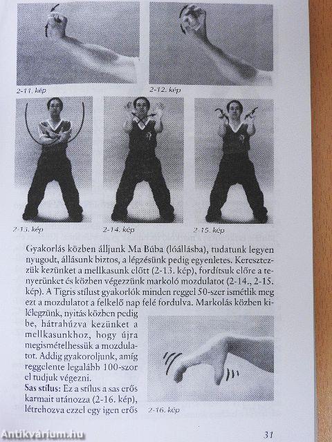 A Shaolin-kolostor Chin Na-technikái
