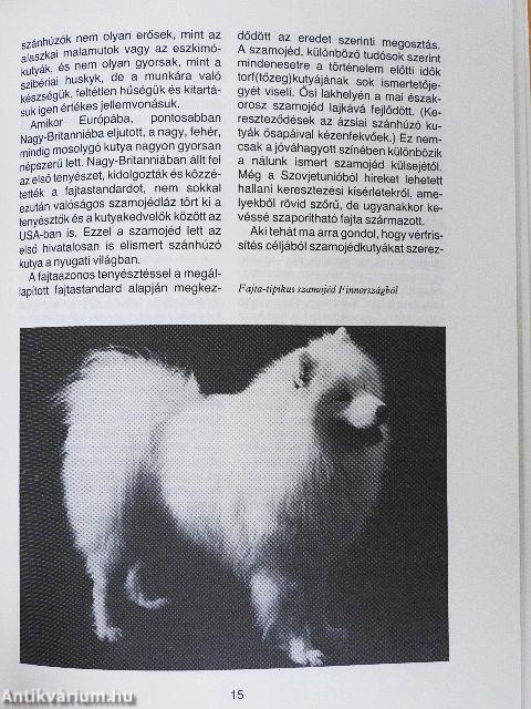 Északi kutyafajták