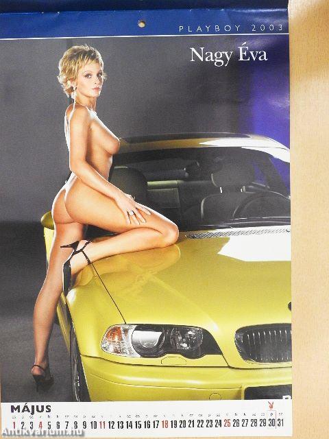 Playboy naptár 2003