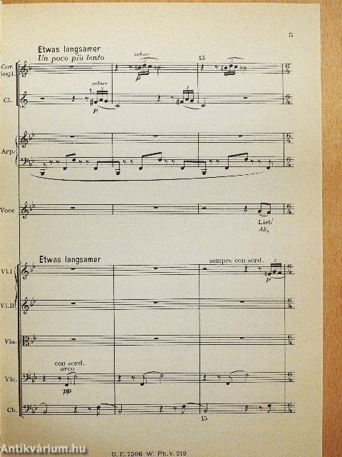 Des Knaben Wunderhorn I.