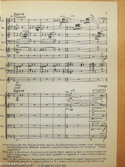 Des Knaben Wunderhorn I.