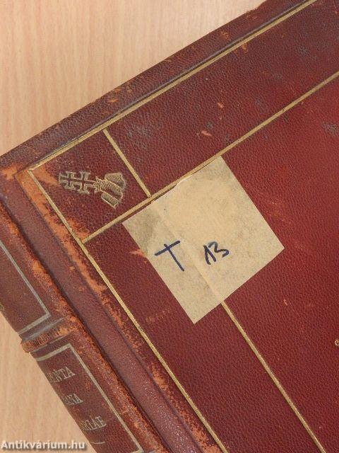 Vatikáni Magyar Okirattár I/I.