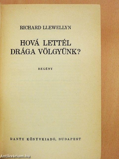 Hová lettél drága völgyünk?