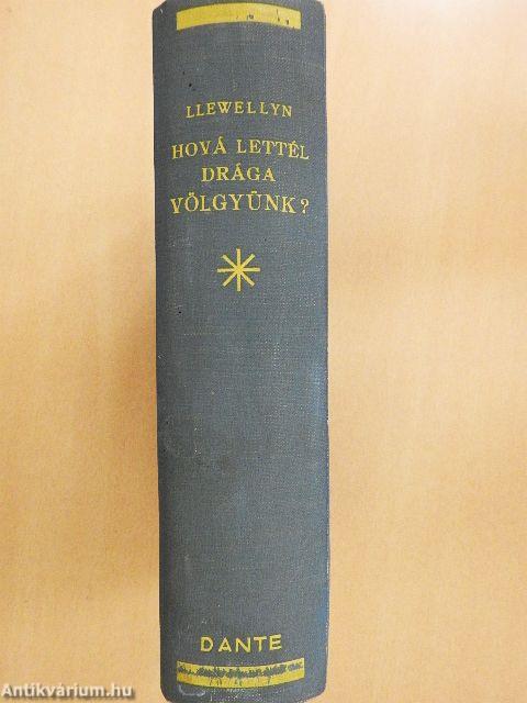 Hová lettél drága völgyünk?