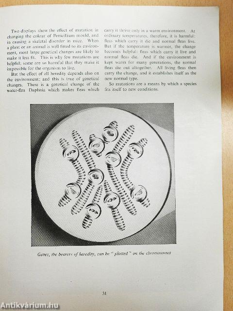 Exhibition of Science