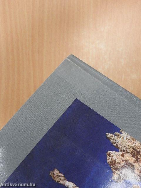 Vadészakról vadnyugatra