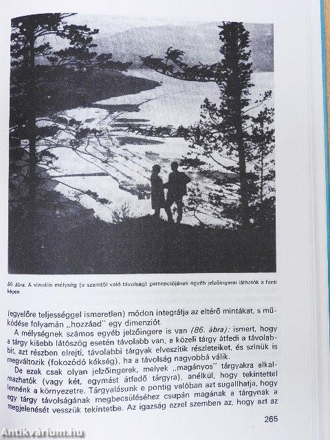 A pszichológia alapkérdései