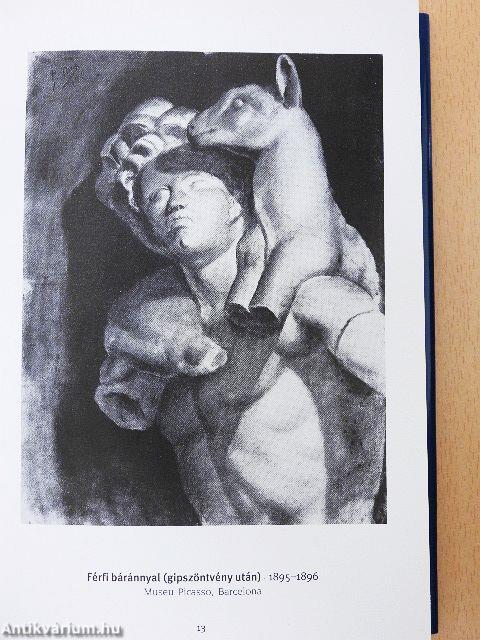 Picasso
