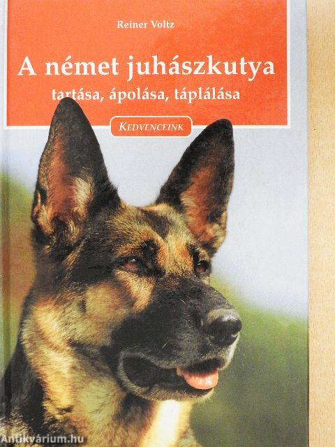 A német juhászkutya tartása, ápolása, táplálása